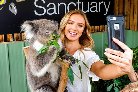 Moonlit Sanctuary Wildlife Conservation Park Daytime General Entry Ticket - Accommodation QLD 4