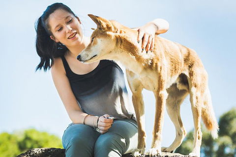 Moonlit Sanctuary Wildlife Conservation Park Daytime General Entry Ticket - Accommodation QLD 5