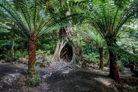 Adelaide To Melbourne 3-Day Trip Through Grampians And Great Ocean Road - Accommodation QLD 0