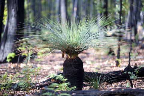 Adelaide To Melbourne 3-Day Trip Through Grampians And Great Ocean Road - Accommodation QLD 4