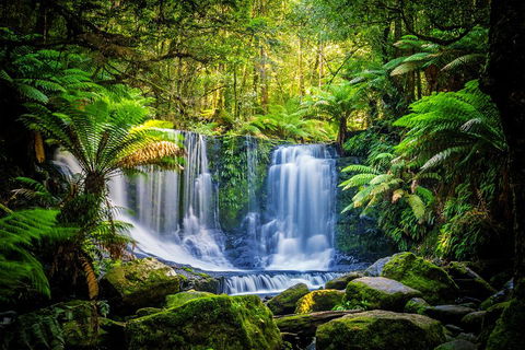 Day Tour In Mt. Field, Mt. Wellington, Bonorong Wildlife Sanctuary And Richmond - Accommodation QLD 0