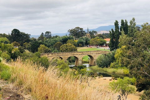 Day Tour In Mt. Field, Mt. Wellington, Bonorong Wildlife Sanctuary And Richmond - Accommodation QLD 3