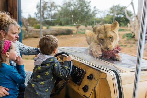 Werribee Open Range Zoo General Admission Ticket - Accommodation QLD 4