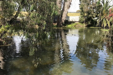 Perth East Foreshore And City Segway Tour - Accommodation QLD 1