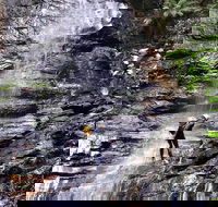 Full-Day Canyoning Experience at Stunning Empress Canyon - Accommodation QLD
