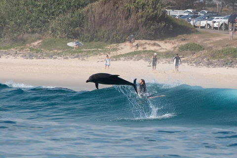 Cruise With Dolphins In Byron Bay - Accommodation QLD 3