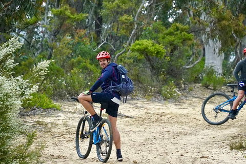 Blue Mountains Hanging Rock SELF-GUIDED Mountain Bike Hire Service - Accommodation QLD 4