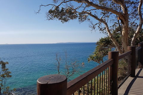 Noosa And Sunshine Coast Hinterland Day Trip From Brisbane - Accommodation QLD 0