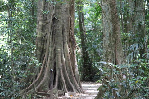 Noosa And Sunshine Coast Hinterland Day Trip From Brisbane - Accommodation QLD 3