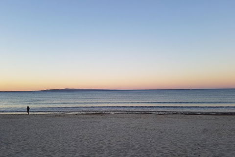 Noosa And Sunshine Coast Hinterland Day Trip From Brisbane - Accommodation QLD 5