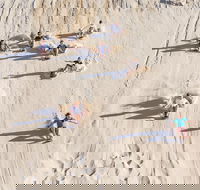 Unlimited Sandboarding - Accommodation QLD