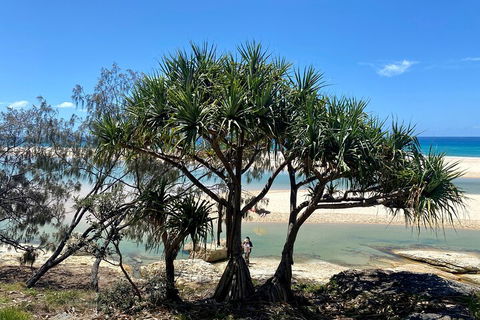 Full-Day Small Group Tour To North Stradbroke Island - Accommodation QLD 5