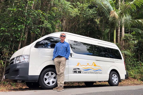 Sunshine Coast Hinterland Rainforest, Views And Montville Day Tour Inc. Lunch - Accommodation QLD 1