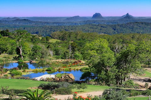 Sunshine Coast Hinterland Rainforest, Views And Montville Day Tour Inc. Lunch - Accommodation QLD 5