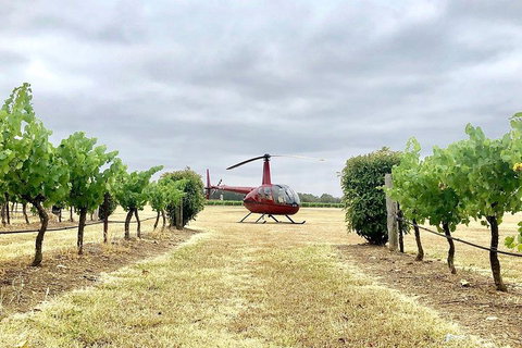 Private Helicopter Flight To Hunter Valley With A La Carte Lunch - For 2 - Accommodation QLD 4