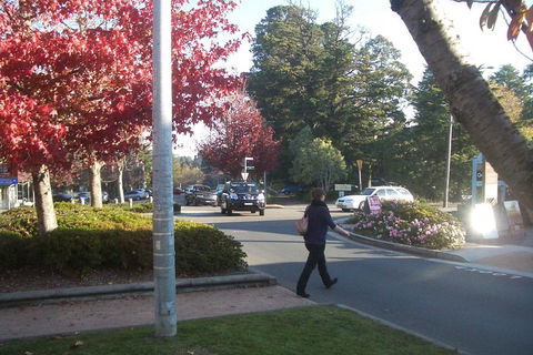 PRIVATE All-Day Blue Mountains Tour With Professional Guide For Up To 4 People - Accommodation QLD 1
