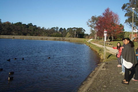 PRIVATE All-Day Blue Mountains Tour With Professional Guide For Up To 4 People - Accommodation QLD 2