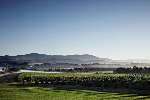 Chauffeur Driven Yarra Valley Group Wine Tour - Up To 7 - Accommodation QLD 2