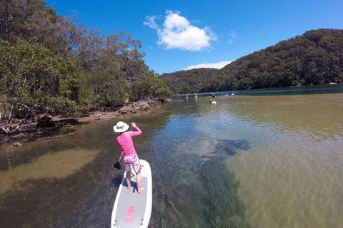 Ku-ring-gai Chase National Park Stand Up Paddleboard Tour - Accommodation QLD 0