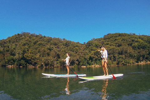 Ku-ring-gai Chase National Park Stand Up Paddleboard Tour - Accommodation QLD 2