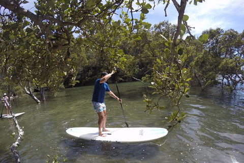 Ku-ring-gai Chase National Park Stand Up Paddleboard Tour - Accommodation QLD 3