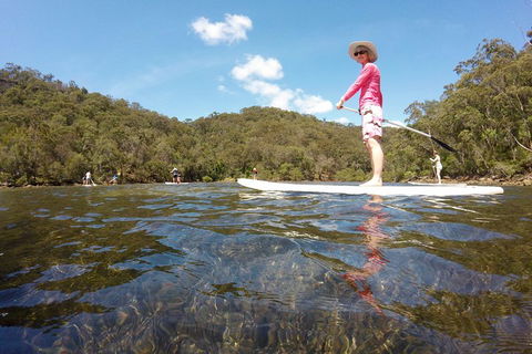 Ku-ring-gai Chase National Park Stand Up Paddleboard Tour - Accommodation QLD 4