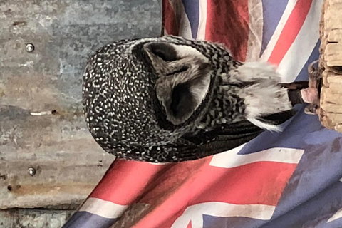 Perth Hills - Wildlife, Art & Gastronomy - Accommodation QLD 5