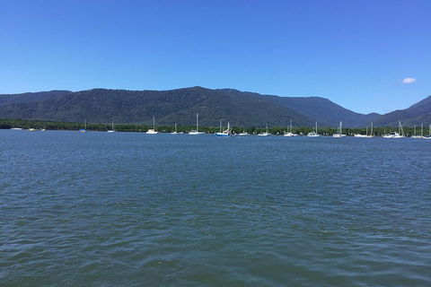 Cairns City Tour - Accommodation QLD 3