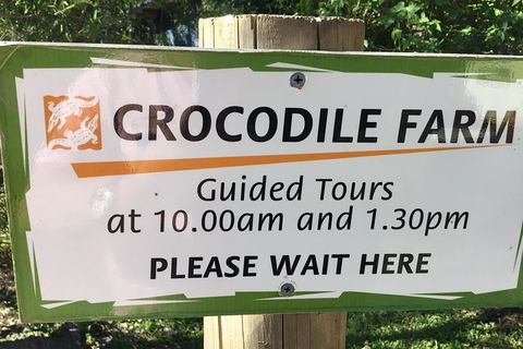 Cairns City Tour - Accommodation QLD 5