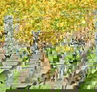 Margaret River Indulge and Discover Day Tour - Accommodation QLD
