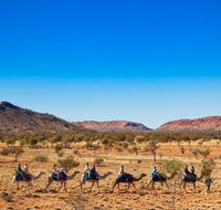 Alice Springs Camel Tour - Accommodation QLD