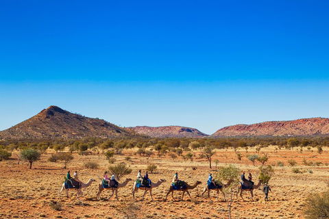 Alice Springs Camel Tour - Accommodation QLD 0