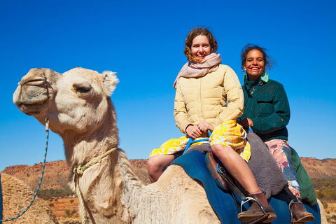 Alice Springs Camel Tour - Accommodation QLD 3