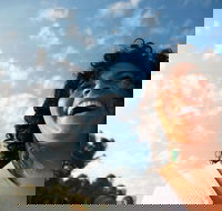 Hinterland Magic  Glow-worm Experience - Accommodation QLD