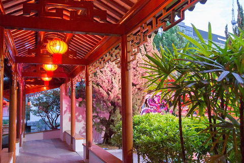Chinese Garden General Admission Ticket - Accommodation QLD 4