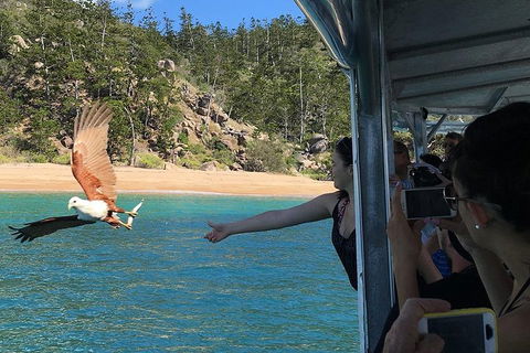 Aquascene Magnetic Island Discovery Tour - Accommodation QLD 2