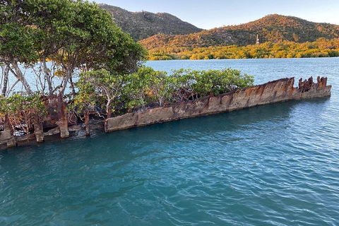 Aquascene Magnetic Island Discovery Tour - Accommodation QLD 3