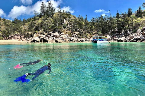 Aquascene Magnetic Island Discovery Tour - Accommodation QLD 4