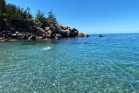 Aquascene Magnetic Island Discovery Tour - Accommodation QLD 5