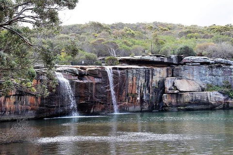 Royal National Park Tour - Accommodation QLD 1