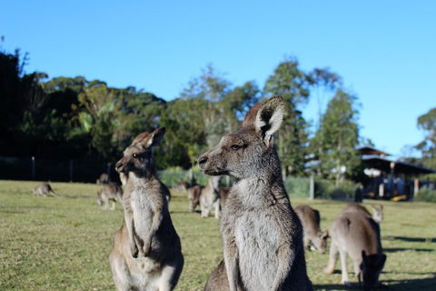Royal National Park Tour - Accommodation QLD 2