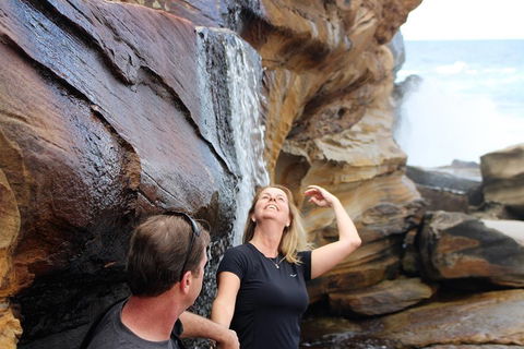 Royal National Park Tour - Accommodation QLD 4