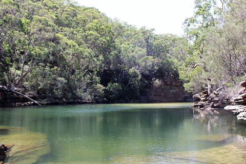 Royal National Park Tour - Accommodation QLD 5