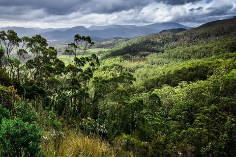 3-Day Tour To The Falls, Mountains, Lake & More Of West Coast Tasmania - Accommodation QLD 0