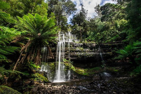 3-Day Tour To The Falls, Mountains, Lake & More Of West Coast Tasmania - Accommodation QLD 4