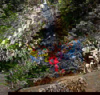 5-Day Lap of Tasmania Tour from Hobart flexible ticket - Accommodation QLD