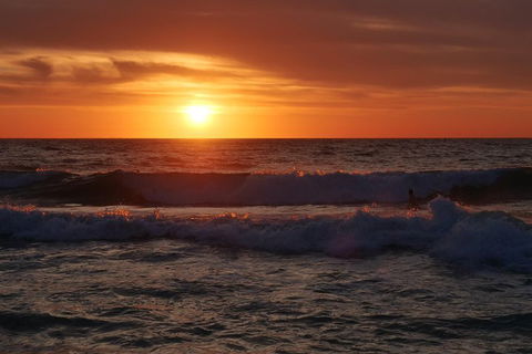 Australian Animals, Seascape And Sunset Photography Tour - Accommodation QLD 5