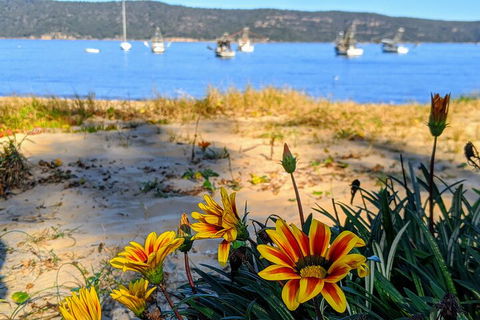 Central Coast Explorer With 'Personalised Sydney Tours' - Accommodation QLD 2