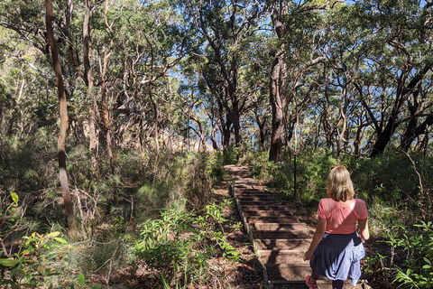 Central Coast Explorer With 'Personalised Sydney Tours' - Accommodation QLD 4