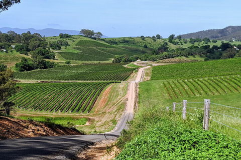 The Complete Hunter Valley Wine Tour Of Pokolbin, Mt View, Lovedale And Rothbury - Accommodation QLD 0